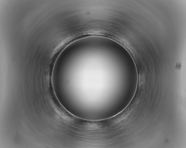 X0000091990349200709131458