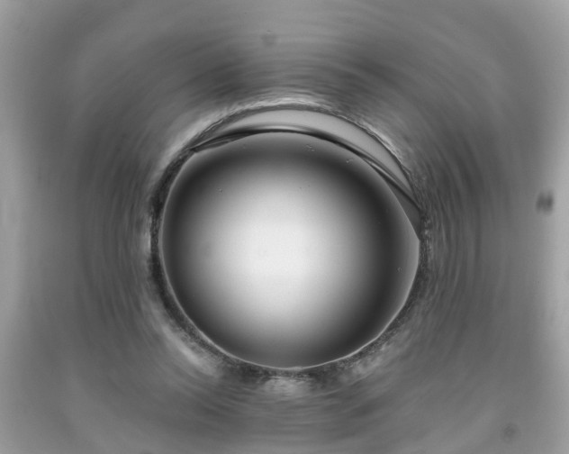 X0000091990350200709131458