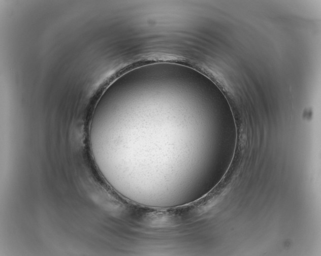 X0000091990351200709131458