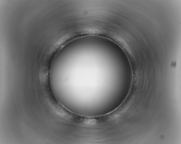 X0000091990355200709131458