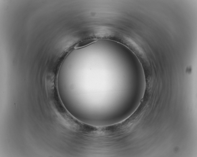 X0000091990356200709131458