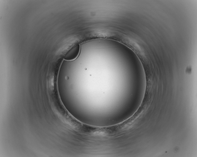 X0000091990358200709131458
