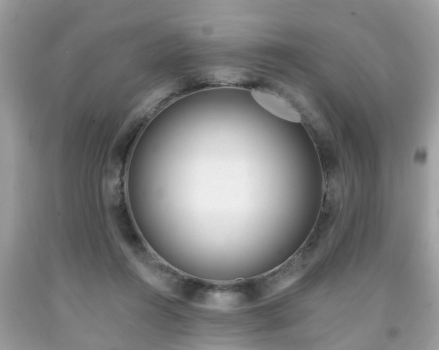 X0000091990360200709131458