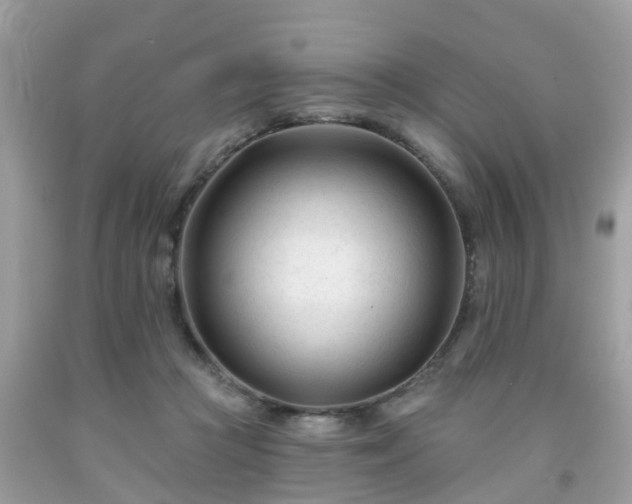 X0000091990361200709131458
