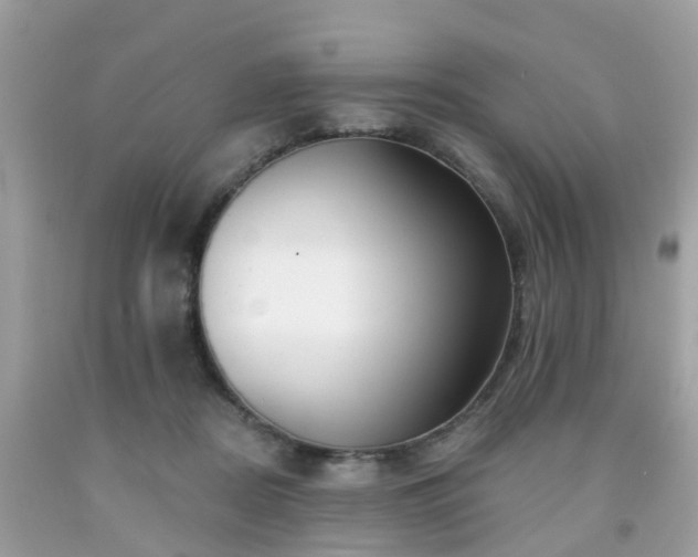 X0000091990362200709131459