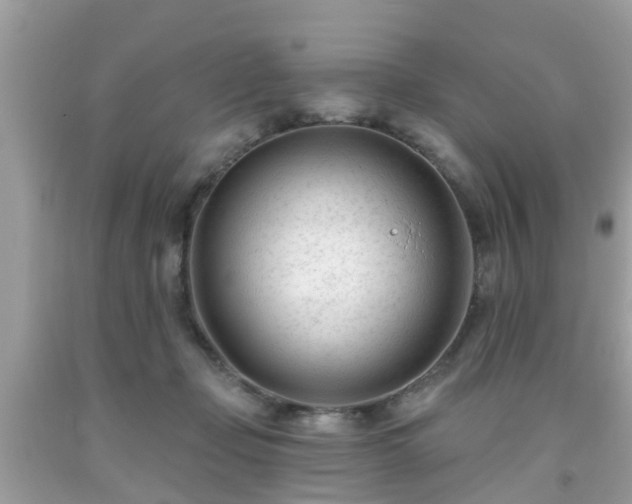 X0000091990365200709131459