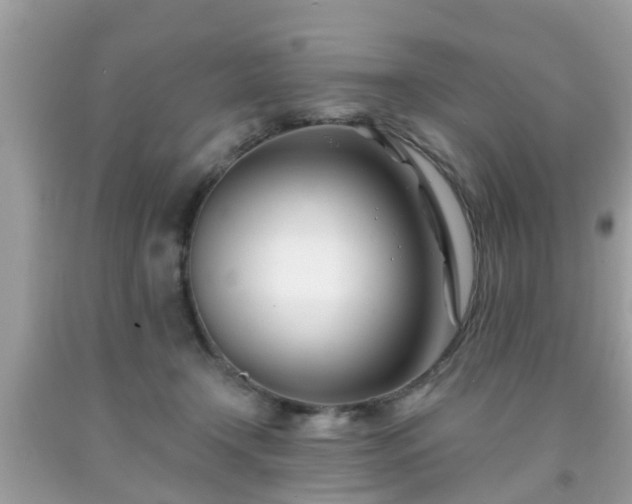 X0000091990366200709131459