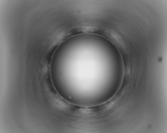 X0000091990367200709131459