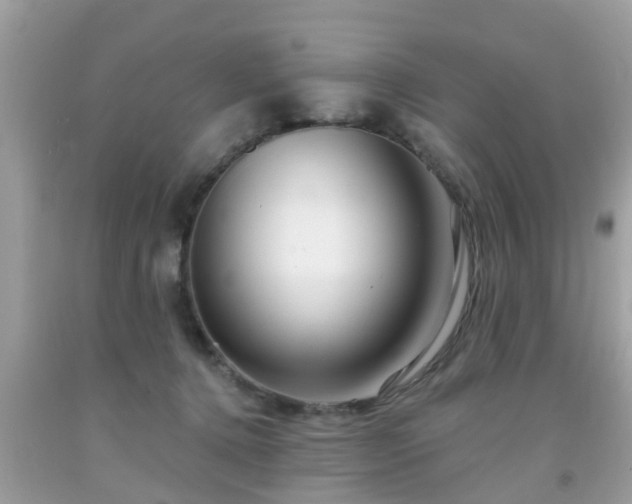X0000091990368200709131459