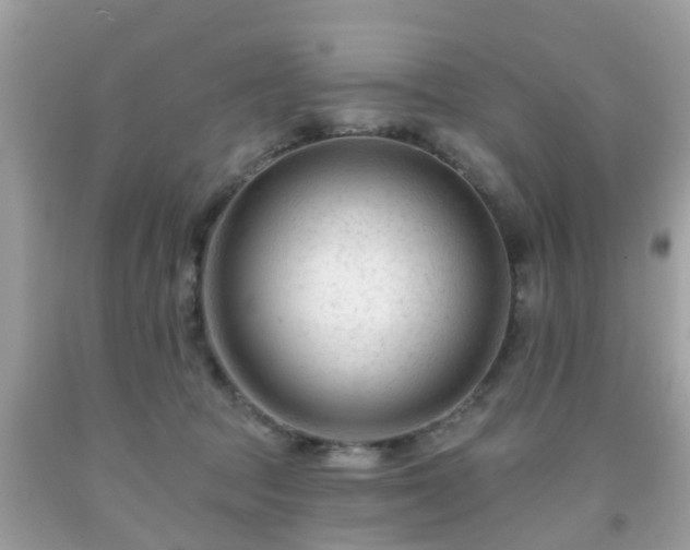 X0000091990369200709131459