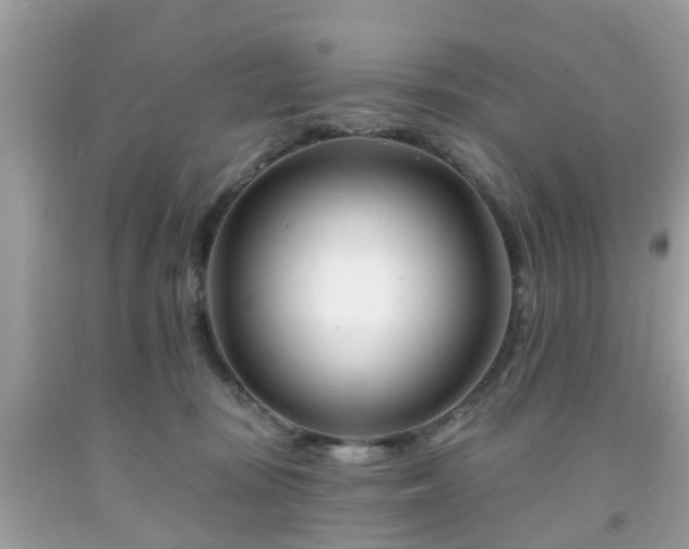 X0000091990371200709131459