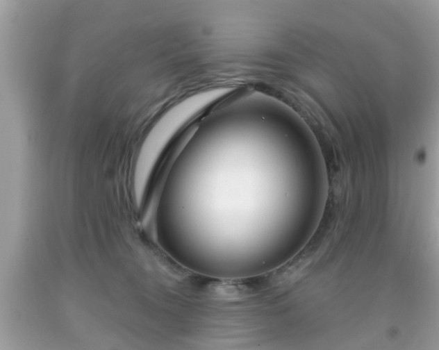 X0000091990372200709131459