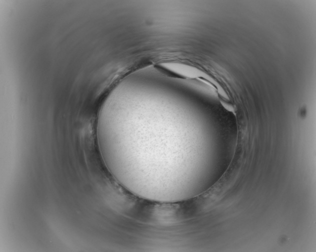 X0000091990373200709131459