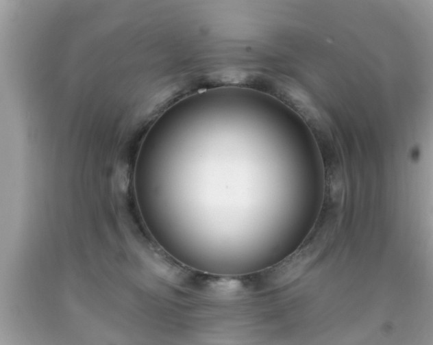 X0000091990374200709131459
