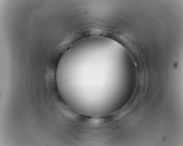 X0000091990375200709131459