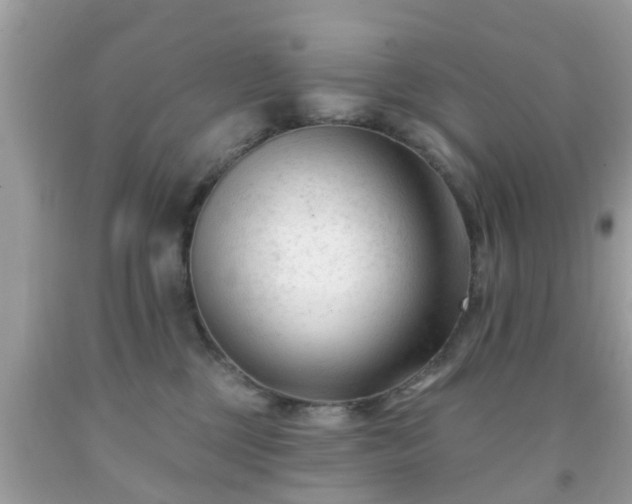 X0000091990377200709131459