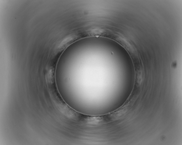 X0000091990378200709131459