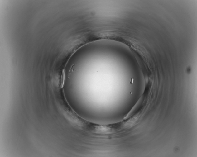 X0000091990380200709131459