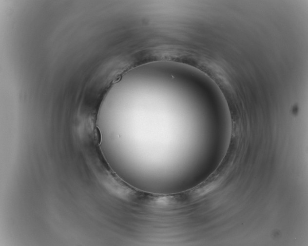 X0000091990382200709131459