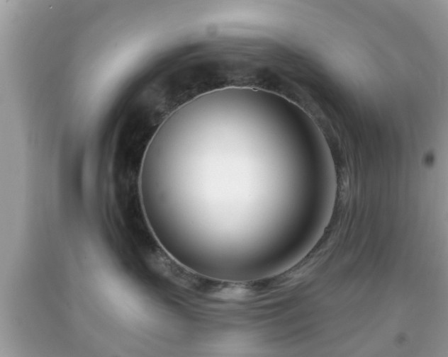 X0000091990383200709131459