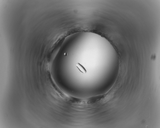 X0000091990384200709131459