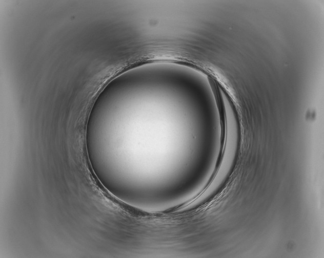X0000091990385200709131458