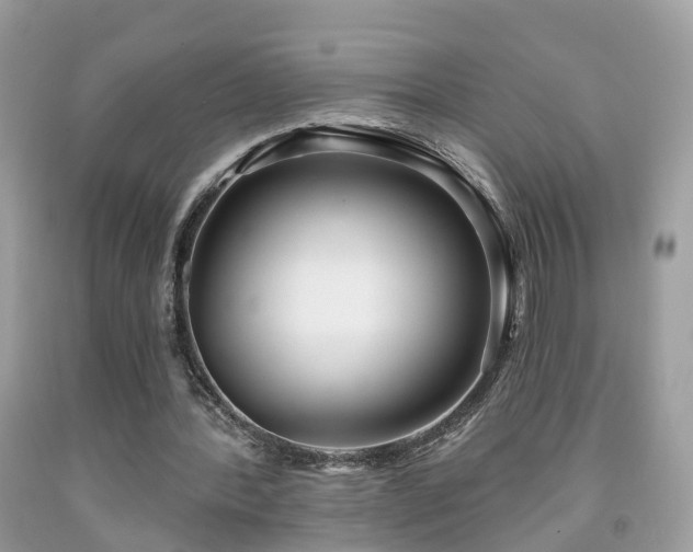 X0000091990388200709131458