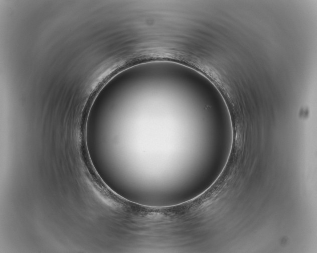 X0000091990390200709131458