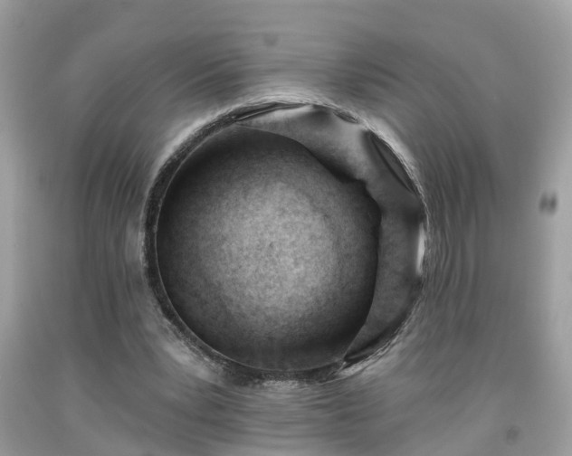 X0000091990391200709131458