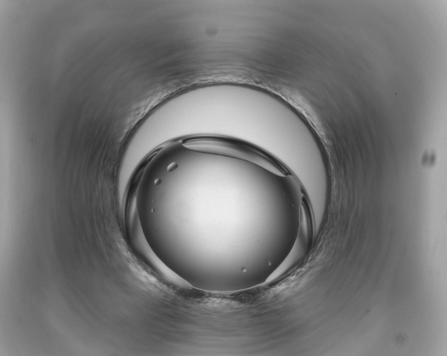X0000091990393200709131458