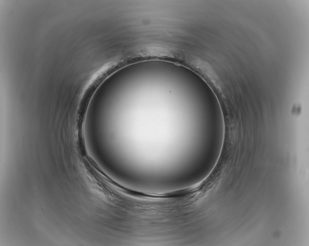 X0000091990395200709131458