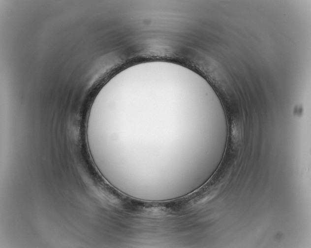 X0000091990396200709131458