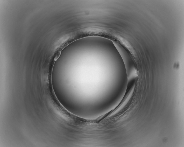 X0000091990399200709131458