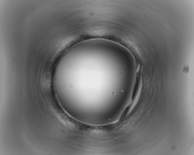 X0000091990400200709131458