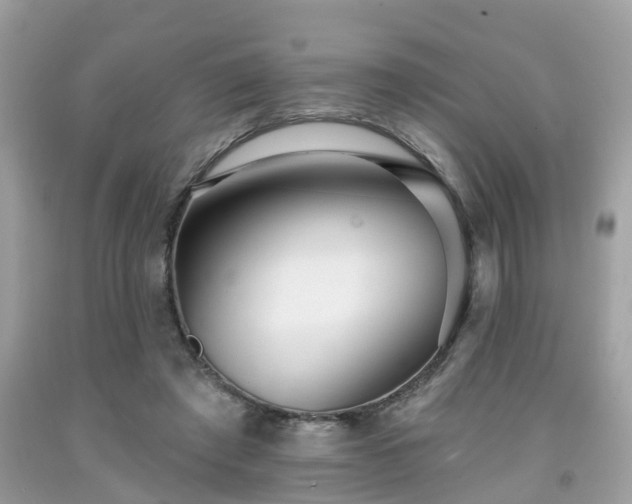 X0000091990401200709131458
