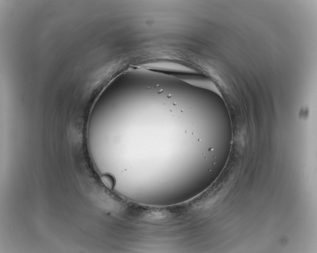 X0000091990402200709131458