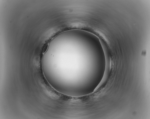 X0000091990403200709131458
