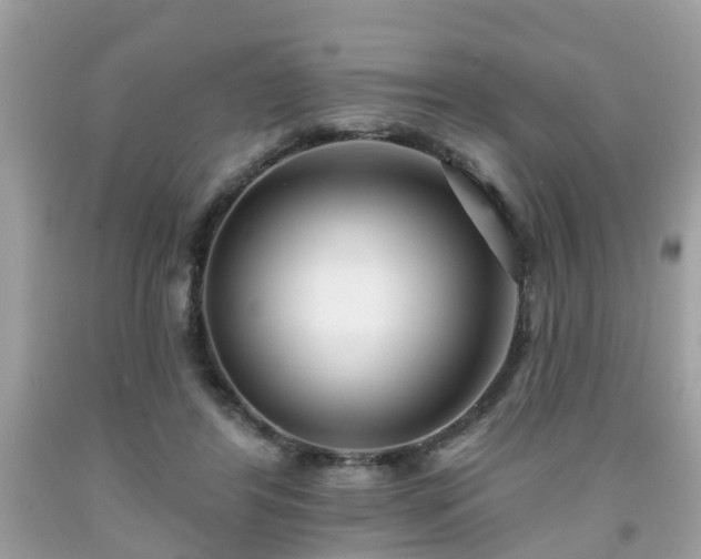 X0000091990404200709131458