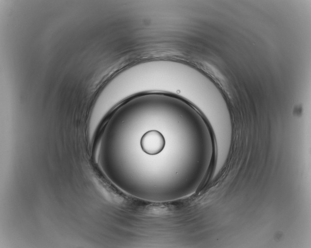 X0000091990405200709131458