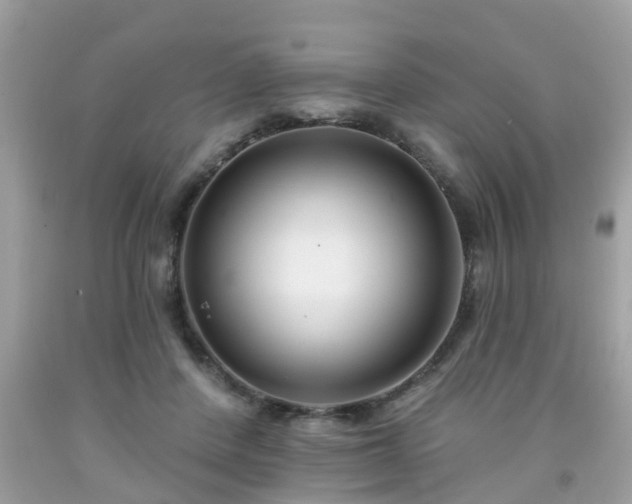 X0000091990408200709131458