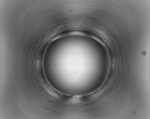 X0000091990409200709131458