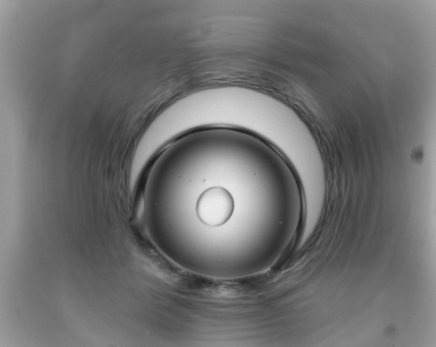 X0000091990412200709131458