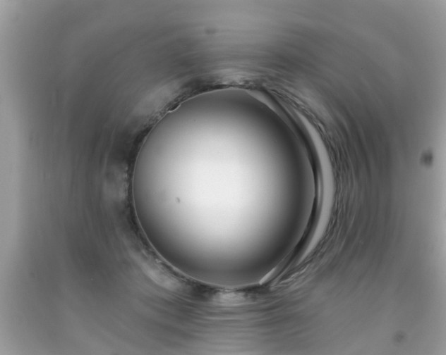 X0000091990413200709131458