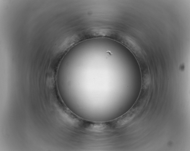 X0000091990414200709131458