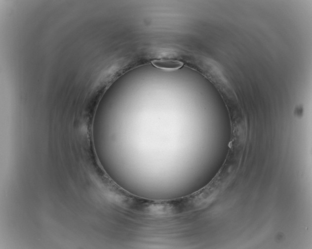 X0000091990415200709131458