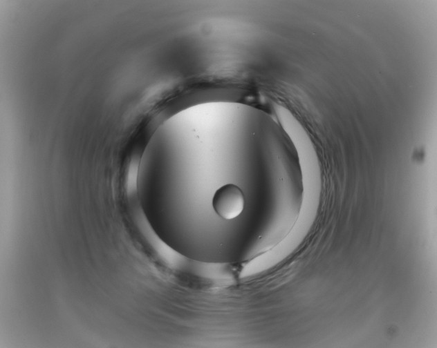 X0000091990416200709131458