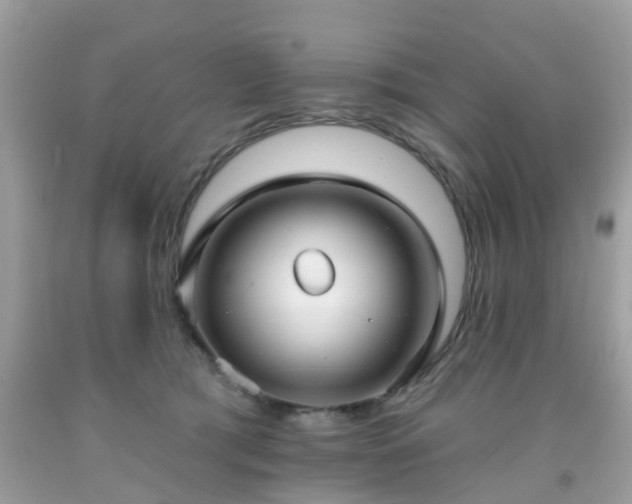 X0000091990417200709131458