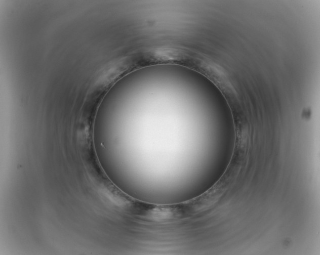 X0000091990418200709131458