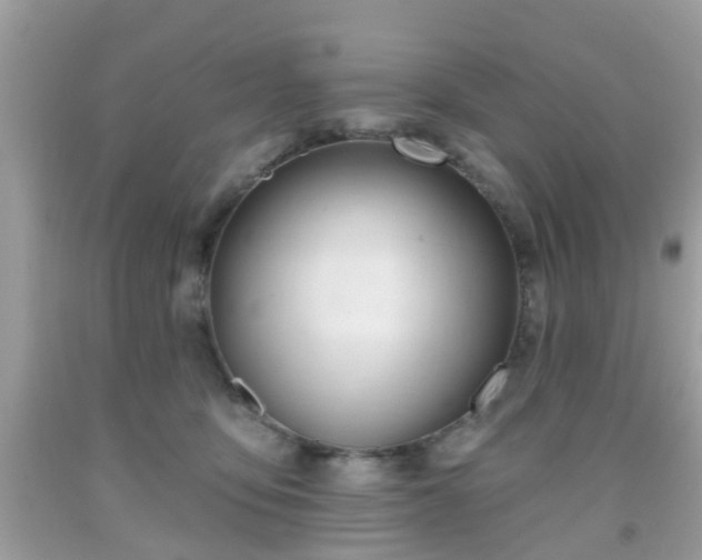 X0000091990419200709131458