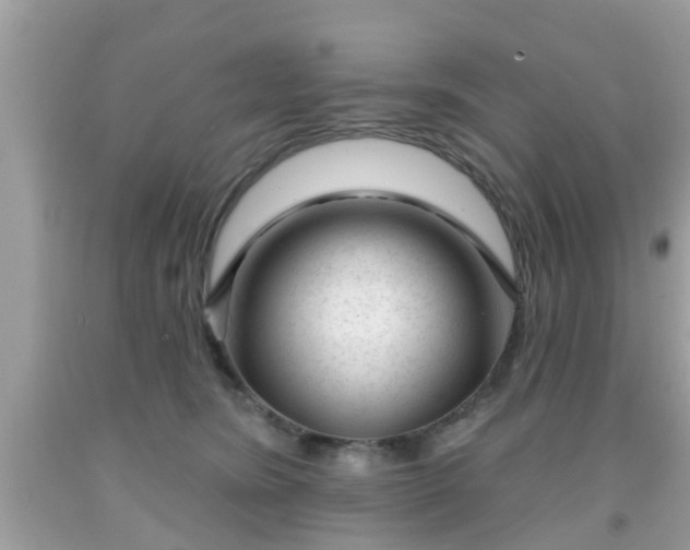 X0000091990420200709131458